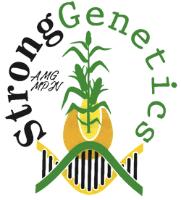 STRONGGENETICS AMG MPJV