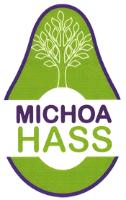 MICHOA HASS