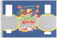 KARLA JUICY BLOCKS