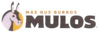 MAS QUE BURROS MULOS