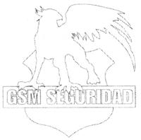 GSM SEGURIDAD