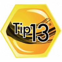 TIP 13