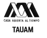 UAM CASA ABIERTA AL TIEMPO TAUAM