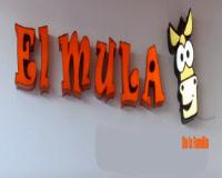 EL MULA DE LA FAMILIA