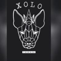 XOLO TERRAZA