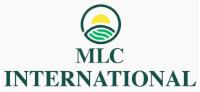 MLC INTERNATIONAL