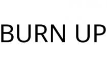 BURN UP