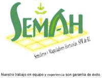 SEMAH SEMILLEROS Y MAQUILADORES HORTICOLAS SPR DE RL. NUESTRO TRABAJO EN EQUIPO Y EXPERIENCIA SON GARANTÍA DE ÉXITO