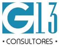 G13 CONSULTORES