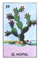 EL NOPAL 39