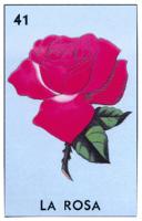 LA ROSA 41
