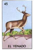 EL VENADO 45