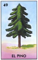 EL PINO 49