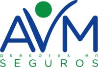 AVM ASESORES EN SEGUROS