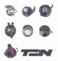 TDN