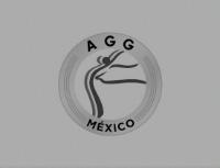 AESTHETIC GROUP GYMNASTICS AGG MEXICO