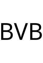 BVB