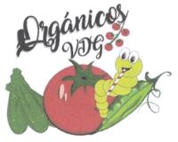 ORGÁNICOS VDG