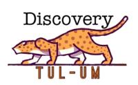 DISCOVERY TUL - UM