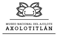 MUSEO NACIONAL DEL AJOLOTE