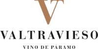 VT VALTRAVIESO VINO DE PÁRAMO