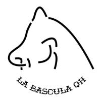 LA BASCULA QH