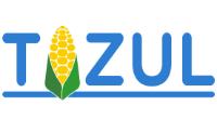 T ZUL