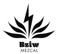 BZIW