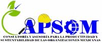 CAPSOM CONSULTORÍA Y ASESORÍA PARA LA PRODUCTIVIDAD Y SUSTENTABILIDAD DE LAS ORGANIZACIONES MEXICANAS