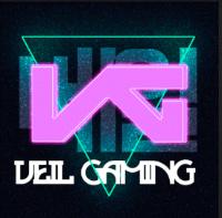 VG VEIL GAMING