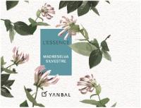 L'ESSENCE MADRESELVA SILVESTRE YANBAL