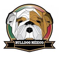 BULLDOG MEXICO