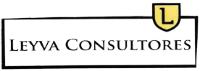 L LEYVA CONSULTORES