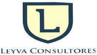 L LEYVA CONSULTORES