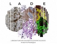 LADE LABORATORIO EN DIAGNOSTICO ESPECIALIZADO ANATOMIA PATOLOGICA