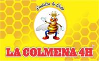LA COLMENA 4H