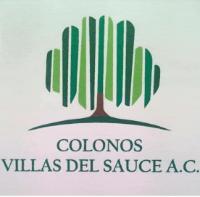 COLONOS VILLAS DEL SAUCE A.C.