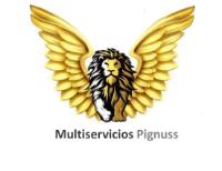 MULTISERVICIOS PIGNUSS