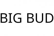 BIG BUD