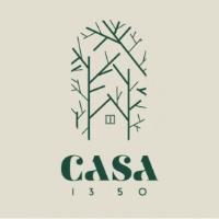 CASA I3 50