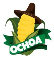 PABLO OCHOA BRISEÑO