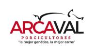 ARCAVAL PORCICULTORES 