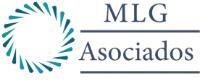 MLG Y ASOCIADOS