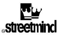 THA STREET MIND