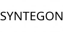 SYNTEGON