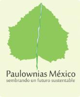 PAULOWNIAS MEXICO SEMBRANDO UN FUTURO SUSTENTABLE