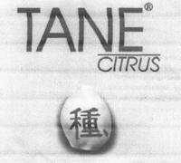 TANE CITRUS