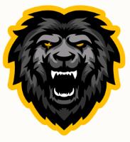 BLACK LION ESPORTS