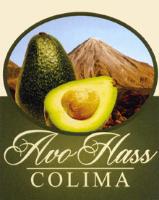 AVO HASS COLIMA