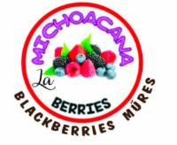 LA MICHOACANA BERRIES BLACKBERRIES MURES